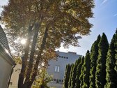 Miesto centre nuomojamas butas/namo dalis, su - nuotraukos Nr. 30
