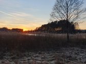 Butas ieškantiems tikrų namų. Šiame kvartale - nuotraukos Nr. 18