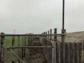 Namas apšildytas, naujas stogas, platikiniai - nuotraukos Nr. 18