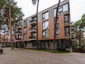 Išnuomojamas jaukus 2 kambarių butas Birutės - nuotraukos Nr. 23