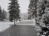 Parduodami sklypai. Ieškantiems geriausio ! - nuotraukos Nr. 31