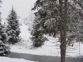 Parduodami sklypai. Ieškantiems geriausio ! - nuotraukos Nr. 26