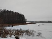Parduodamas 1,2079 ha žemės ūkio paskirties - nuotraukos Nr. 20