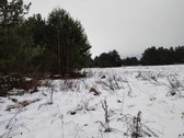Parduodamas 1,2079 ha žemės ūkio paskirties - nuotraukos Nr. 19