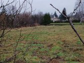 Parduodamas sklypas- namų valda, dydis 30arų - nuotraukos Nr. 6