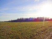 Parduodamas 2,66ha žemės ūkio paskirties - nuotraukos Nr. 5