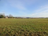 Parduodamas 2,66ha žemės ūkio paskirties - nuotraukos Nr. 8