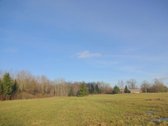 Parduodamas 2,66ha žemės ūkio paskirties - nuotraukos Nr. 4