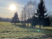 Parduodamas 2,66ha žemės ūkio paskirties - nuotraukos Nr. 6