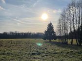 Parduodamas 2,66ha žemės ūkio paskirties