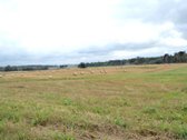 Parduodamas 2,66ha žemės ūkio paskirties - nuotraukos Nr. 10