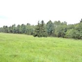 Parduodamas 2,66ha žemės ūkio paskirties - nuotraukos Nr. 20