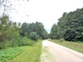 Parduodamas 2,66ha žemės ūkio paskirties - nuotraukos Nr. 19