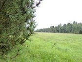 Parduodamas 2,66ha žemės ūkio paskirties - nuotraukos Nr. 17