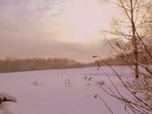 Parduodamas 2,66ha žemės ūkio paskirties - nuotraukos Nr. 15