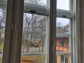 Unikaliame, gražiausiame Juodkrantės - nuotraukos Nr. 9