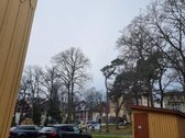 Unikaliame, gražiausiame Juodkrantės - nuotraukos Nr. 30