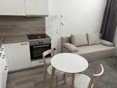 2 kambarių pilnai įrengta studija ant Nemuno