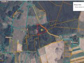 Parduodamas 7,74 ha miškas Šaukoto I kaime,
