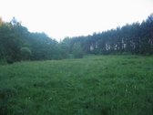 Parduodami du sklypai, 1 ha + 2 ha viso 3ha. - nuotraukos Nr. 2