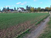 Parduodamas sklypas - nuotraukos Nr. 8