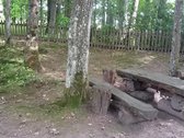 Parduodama erdvi turizmo sodyba Šakių r., - nuotraukos Nr. 7