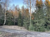 Parduodamas miškas, Kelmės raj., Šaukėnų sen. - nuotraukos Nr. 2