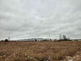 Didieji Gulbinai sparčiai besivystantis - nuotraukos Nr. 2