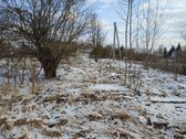 Parduodamas 30.75a namų valdos sklypas palei - nuotraukos Nr. 6