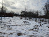 Parduodamas 30.75a namų valdos sklypas palei - nuotraukos Nr. 8