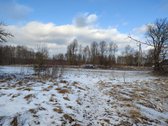 Parduodamas 30.75a namų valdos sklypas palei - nuotraukos Nr. 11