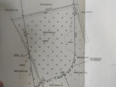 Parduodami du greta esantys sklypai (komplektas): - nuotraukos Nr. 2