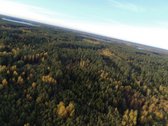 Parduodamas 275 arų sklypas su mišku, ir - nuotraukos Nr. 3