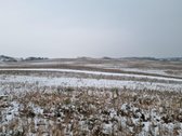 Parduodamas žemės ūkio paskirties sklypas - nuotraukos Nr. 2