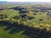 Parduodami Sklypai Jūsų Ūkiui Gamtos Ir Miško - nuotraukos Nr. 4