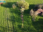 Parduodami Sklypai Jūsų Ūkiui Gamtos Ir Miško - nuotraukos Nr. 6