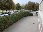 Nuomoju šviesų, suremontuotą biurą - nuotraukos Nr. 7