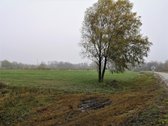 Parduodu 3,26 ha komercinės paskirties sklypą - nuotraukos Nr. 5