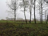 Parduodu 3,26 ha komercinės paskirties sklypą - nuotraukos Nr. 7