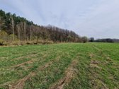 Druskininkų savivaldybėje Mizarų kaime - nuotraukos Nr. 18