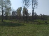 Sungardų k. prie Sągardo ež. parduodamas 9,82 - nuotraukos Nr. 4