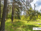 "Sklypas gyvenamajam namui ar naujam - nuotraukos Nr. 4