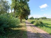 Labai gražioje vietoje, Lazdijų rajone, - nuotraukos Nr. 7