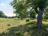 Labai gražioje vietoje, Lazdijų rajone, - nuotraukos Nr. 3