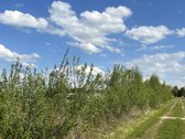 Parduodamas sklypas netoli Šiaulių miesto. - nuotraukos Nr. 6