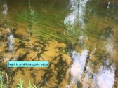 ~13ha sklypas šalia Labanoro, ant Kiaunos - nuotraukos Nr. 5