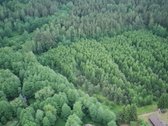 ~13ha sklypas šalia Labanoro, ant Kiaunos - nuotraukos Nr. 8