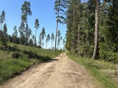 Parduodama sodybvietė 14 aru namu valdos - nuotraukos Nr. 5