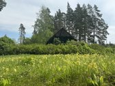 Parduodama sodybvietė 14 aru namu valdos - nuotraukos Nr. 6