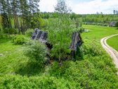 Parduodama sodybvietė 14 aru namu valdos - nuotraukos Nr. 16